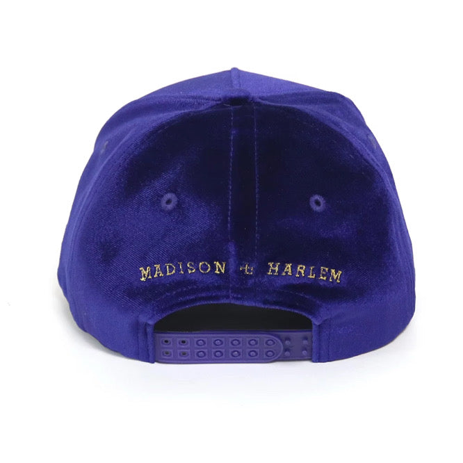 signature+.SnapBack “Principles”